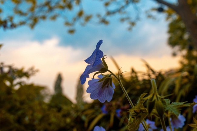 Take stock of the pain that will breathe in autumn! What about these "meteorological diseases"?