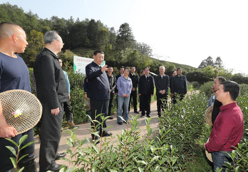On March 22, 2021, General Secretary of the Supreme Leader had a cordial exchange with science and technology commissioners and tea farmers at Yanzike Ecological Tea Garden in Xingcun Town, Wuyishan City, Nanping City, Fujian Province to learn about the development of local tea industry.