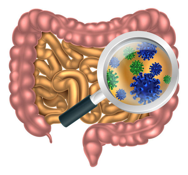 Intestinal bacteria are quietly changing our genes.